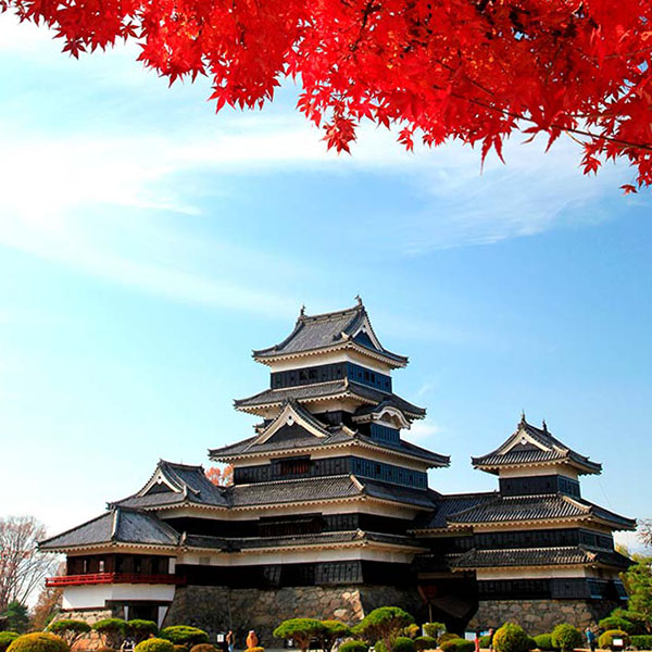 11月3日 国宝松本城「秋の茶会」が開催されます